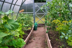 Read more about the article The Therapeutic Power of Personal Narratives